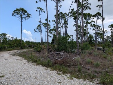 Live the island dream in St. James City! This rare 2.5-acre - photo 4