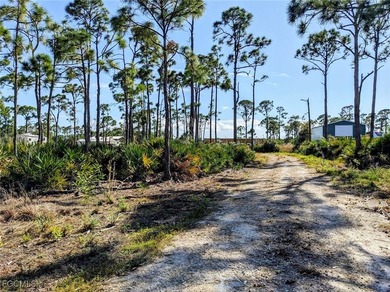 Live the island dream in St. James City! This rare 2.5-acre - photo 5