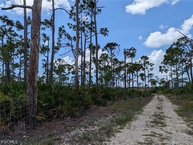 Live the island dream in St. James City! This rare 2.5-acre - photo 7