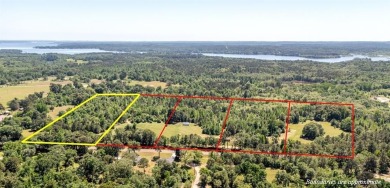 Lake Palestine Acreage For Sale in Chandler Texas