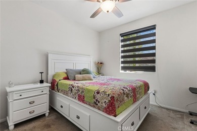29271 Date Palm - photo 23