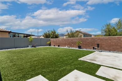 29271 Date Palm - photo 29