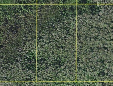 Your 5-Acre Sanctuary Awaits! Discover this secluded parcel - photo 1