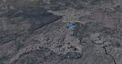 Your 5-Acre Sanctuary Awaits! Discover this secluded parcel - photo 3