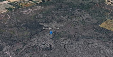 Your 5-Acre Sanctuary Awaits! Discover this secluded parcel - photo 4