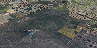Your 5-Acre Sanctuary Awaits! Discover this secluded parcel - photo 5