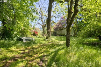 Bring your vision and ambition to this dreamy 31 acre, level lot - photo 2