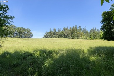 Bring your vision and ambition to this dreamy 31 acre, level lot - photo 3