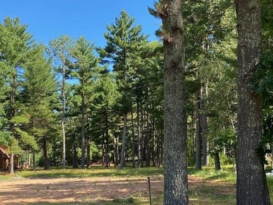 Town of Rome Home Site/Camp Site near Lake Petenwell. Already - photo 3