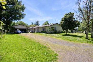 Bring your vision and ambition to this dreamy 31 acre, level lot - photo 4