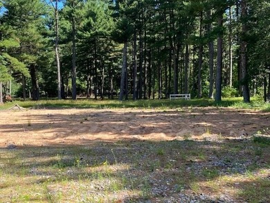 Town of Rome Home Site/Camp Site near Lake Petenwell. Already - photo 4