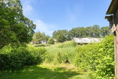 Bring your vision and ambition to this dreamy 31 acre, level lot - photo 5