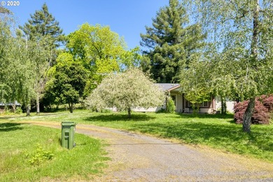 Bring your vision and ambition to this dreamy 31 acre, level lot - photo 6