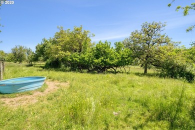 Bring your vision and ambition to this dreamy 31 acre, level lot - photo 7