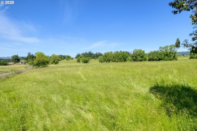 Bring your vision and ambition to this dreamy 31 acre, level lot - photo 8