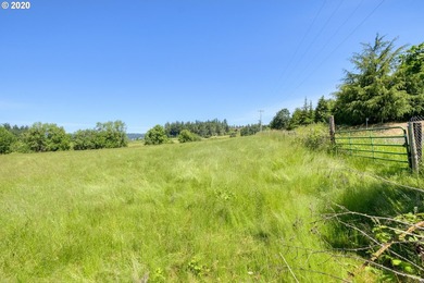 Bring your vision and ambition to this dreamy 31 acre, level lot - photo 9