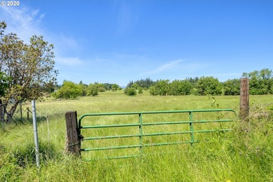 Bring your vision and ambition to this dreamy 31 acre, level lot - photo 10