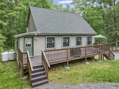 Lake Home For Sale in Naples, Maine