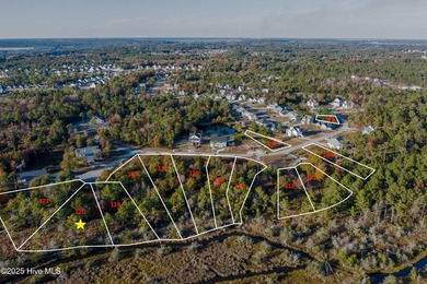 Bring Your Builder to Marsh Haven Landing, one of the few - photo 4