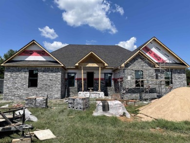 Lake Home For Sale in Greers Ferry, Arkansas