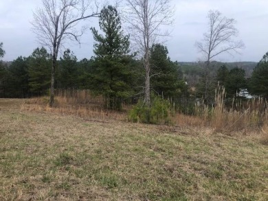 Lewis Smith Lake Lot For Sale in Jasper Alabama
