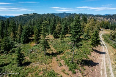 (private lake, pond, creek) Acreage For Sale in Pinehurst Idaho
