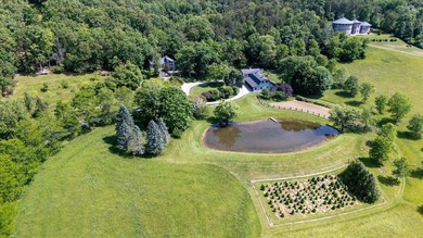 (private lake, pond, coastal) Home For Sale in Blacksburg Virginia