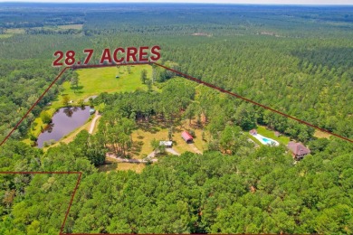 (private lake, pond, creek) Home For Sale in Ridgeville South Carolina