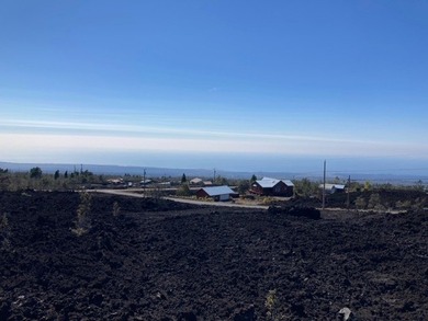 Hawaiian Ocean View Estates - invest some time and money into - photo 4