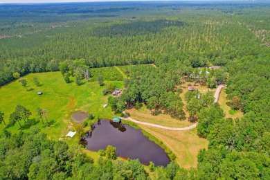 (private lake, pond, creek) Acreage For Sale in Ridgeville South Carolina