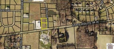 Kentucky Lake Commercial For Sale in Murray Kentucky