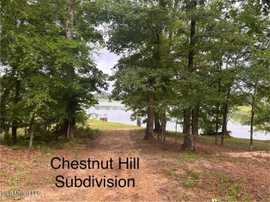 Lake Lot For Sale in Flora, Mississippi