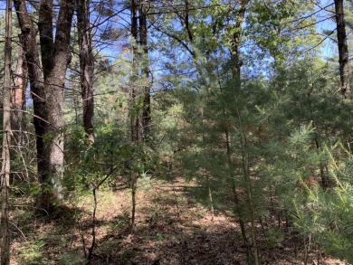 Petenwell Lake  Lot For Sale in Arkdale Wisconsin