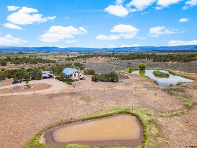 (private lake, pond, creek) Home For Sale in Ignacio Colorado