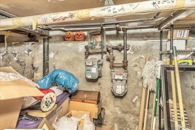 An exceptional Williamsburg corner property brimming with - photo 19