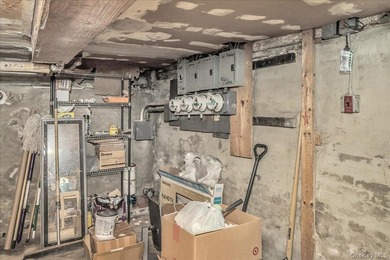 An exceptional Williamsburg corner property brimming with - photo 20