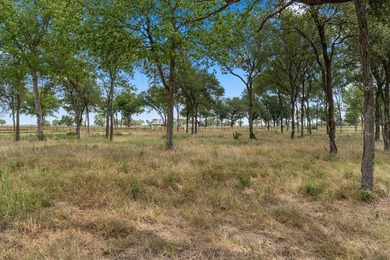 Build your dream home on this beautiful 1.009-acre homesite in - photo 7