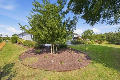 Beautifully upgraded Wisteria in Indigo East OTOW in SW Ocala! - photo 10