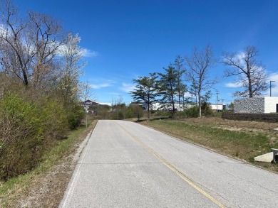 Lake Lot For Sale in Crossville, Tennessee