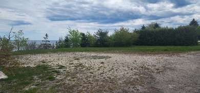 Experience waterfront living in the heart of downtown St - photo 4