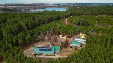 Lake Home For Sale in Lake George Twp, Minnesota