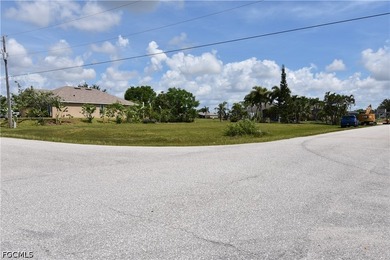 PERFECTLY SITUATED HOMESITE IN NW CAPE CORAL...near Coral Oaks - photo 1