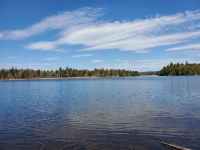 Barrow Lake Lot For Sale in Alexander Maine