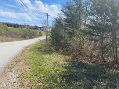 (private lake, pond, creek) Lot For Sale in Crossville Tennessee
