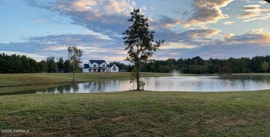 Welcome to this stunning 3200 Sq ft farmhouse that sits on 25.7 - photo 2