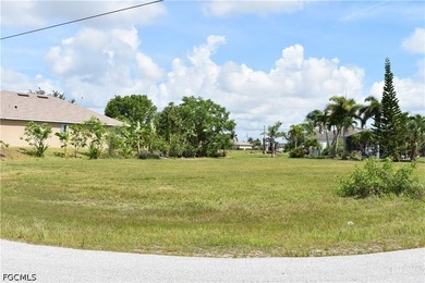 PERFECTLY SITUATED HOMESITE IN NW CAPE CORAL...near Coral Oaks - photo 2