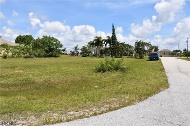 PERFECTLY SITUATED HOMESITE IN NW CAPE CORAL...near Coral Oaks - photo 6