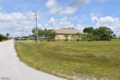 PERFECTLY SITUATED HOMESITE IN NW CAPE CORAL...near Coral Oaks - photo 7