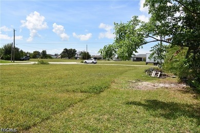 PERFECTLY SITUATED HOMESITE IN NW CAPE CORAL...near Coral Oaks - photo 9