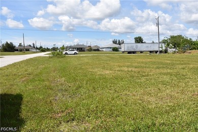 PERFECTLY SITUATED HOMESITE IN NW CAPE CORAL...near Coral Oaks - photo 10